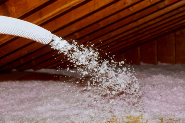Best Insulation Maintenance and Repair in Terra Bella, CA