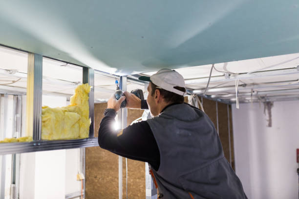 Best Commercial Insulation in Terra Bella, CA